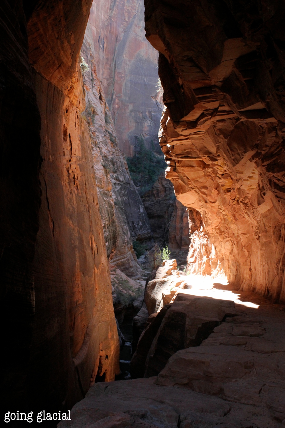 En route to Observation Point, Zion National Park, 09.2011.